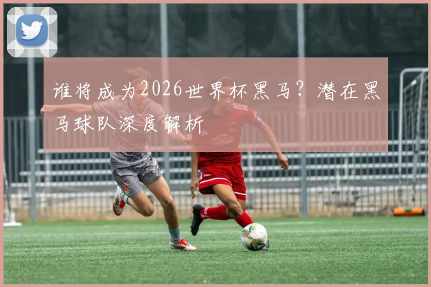 谁将成为2026世界杯黑马?潜在黑马球队深度解析